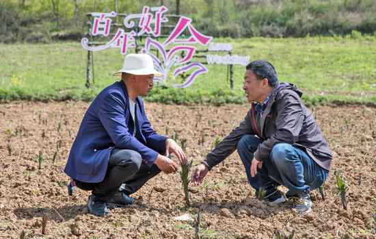 开启“扶贫+”浙江台州助四川茂县壮大贫困村集团经济