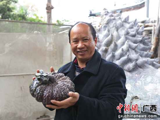 恪守匠心攻顽石 薪火相传“凿文章”