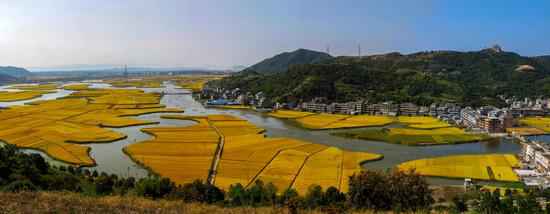 浙江台州开展“三联三送三落实”专项动作保春耕