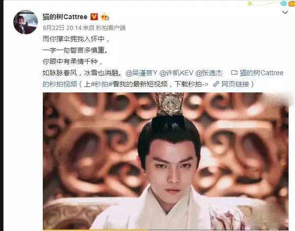 吴谨言许凯猫的树视频是什么 傅璎cp穿越秦朝的浪漫恋爱