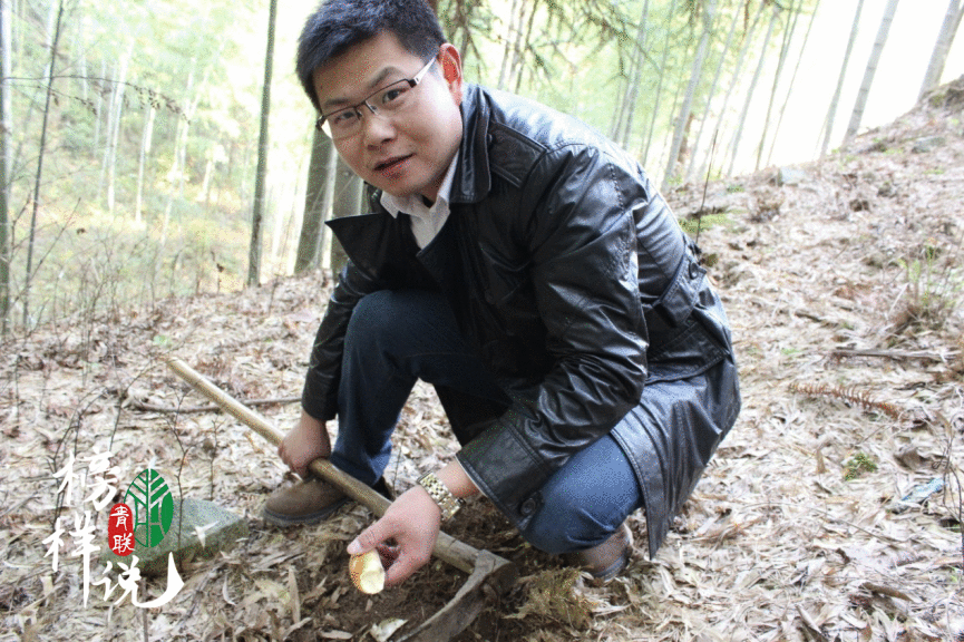「青联模范说」第34期 胡岑岭：在村子振兴中筑梦前行