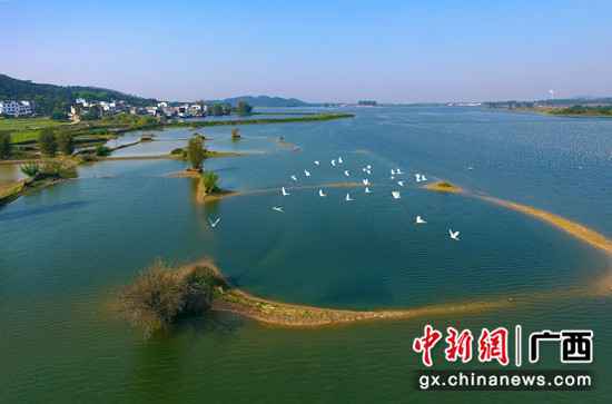 横县全面落实河长制 青山碧水入画来