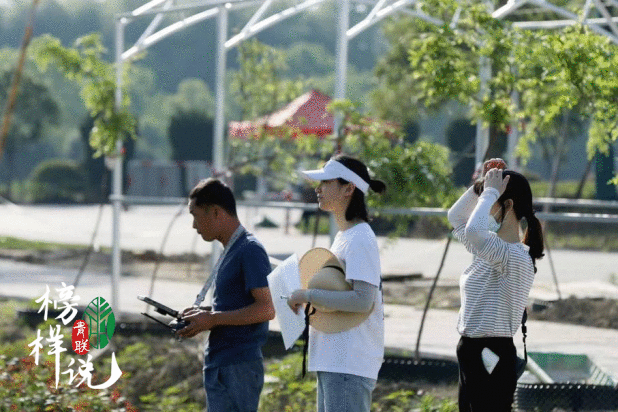 「青联模范说」第35期 张喆：以年青之名，为徽学破圈