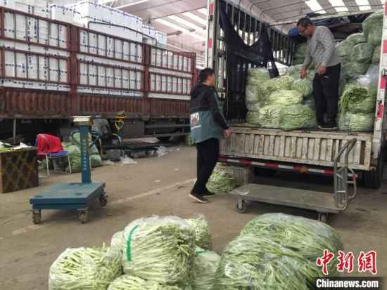 河北新发地力保京津冀农产物“双节”供给 储蓄量较