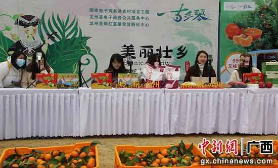龙州县网红直播助力农产物上行 成交额16万元