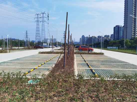 浙江宁波鄞州多措并举开“妙方”巧治停车难