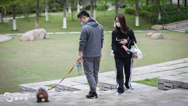 人间四月天：清明时节 亲子时间