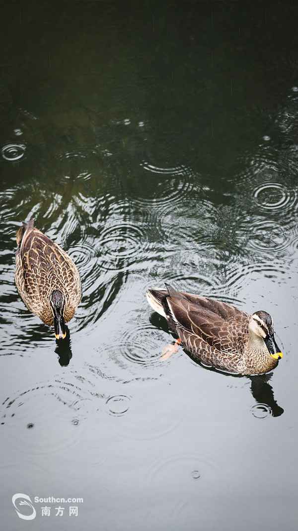 人间四月天：清明时节 亲子时间
