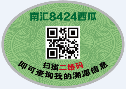 上海南汇8424西瓜5月1日上市 一只装70元