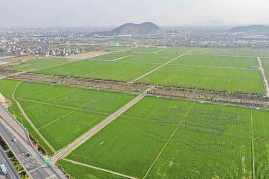 聚焦杭州钱塘新区：春耕备耕正其时