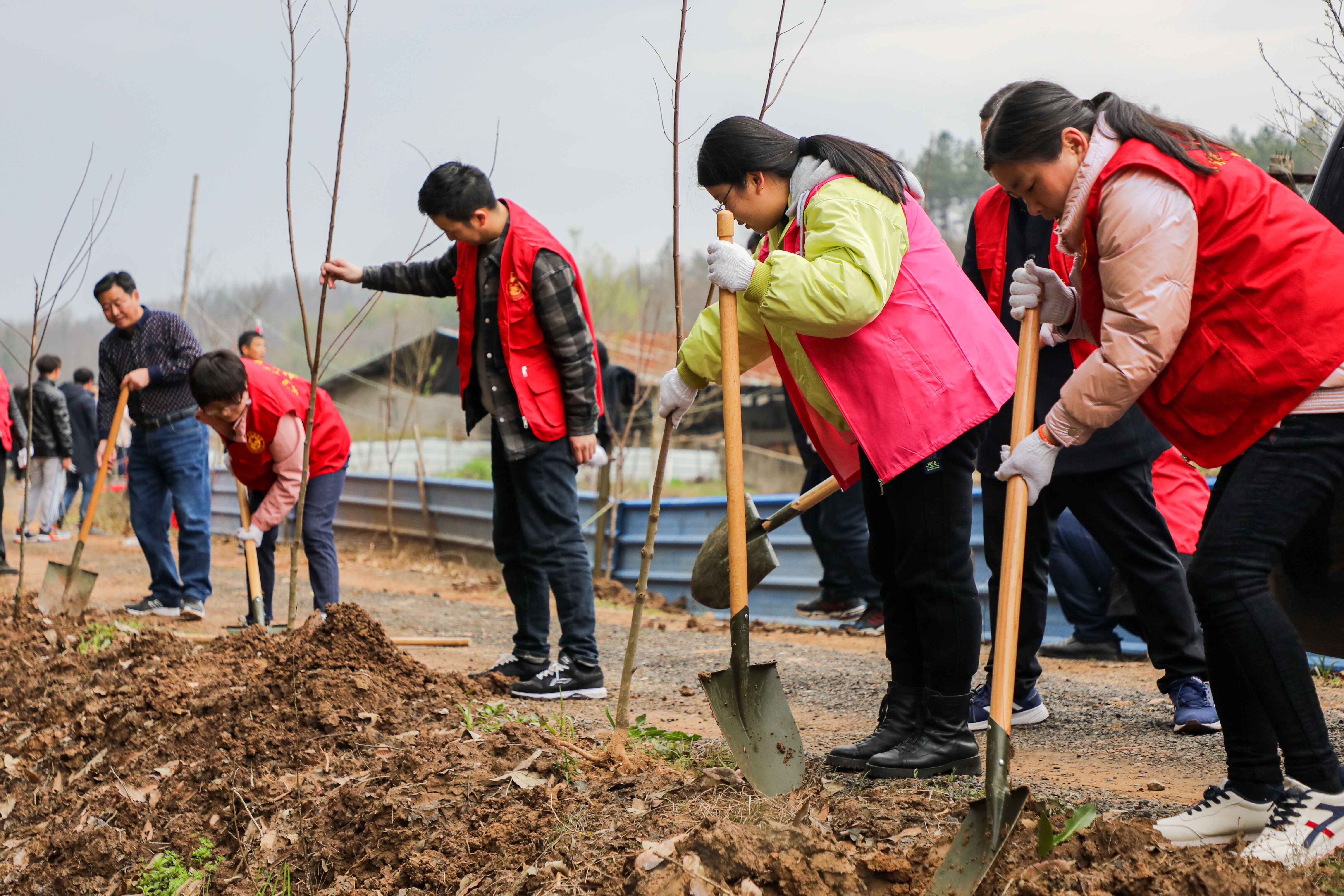 裕安区学雷锋志愿处事勾当气氛浓重