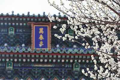 春节假期余额还剩五天 北京这些景点已约满