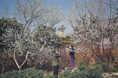 春节假期余额还剩五天 北京这些景点已约满