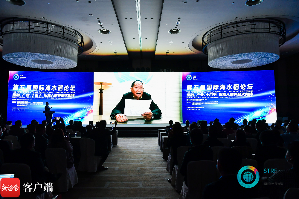 海水稻吃起来不咸！袁隆平团队将启动海水稻财富化推广