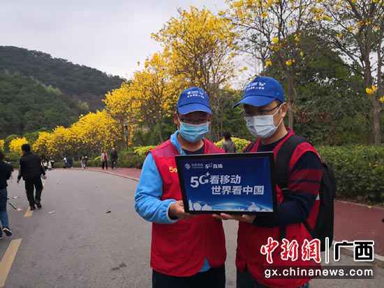 5G+VR“云赏花” 邀您共赏优美春景