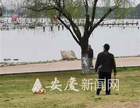 天气渐暖，宠物伤人事件进入高发期