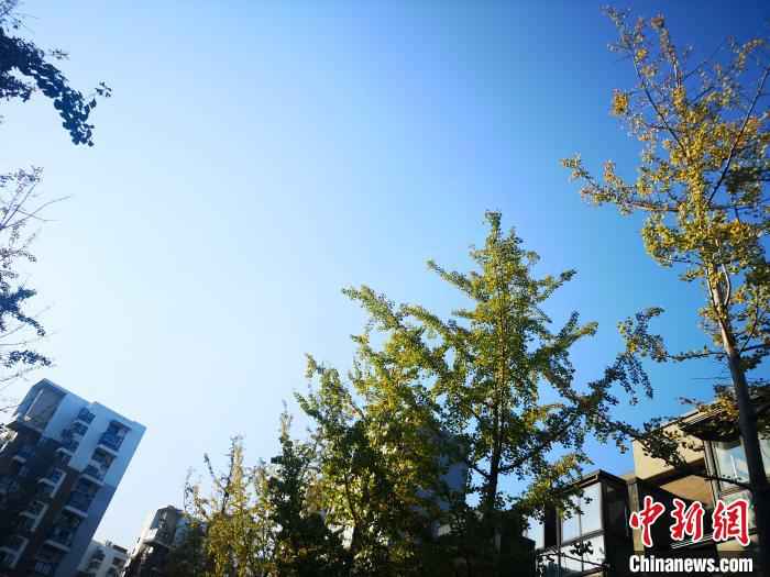 浙江本年以来平均气温较常年偏高1.2℃ 并列汗青首位