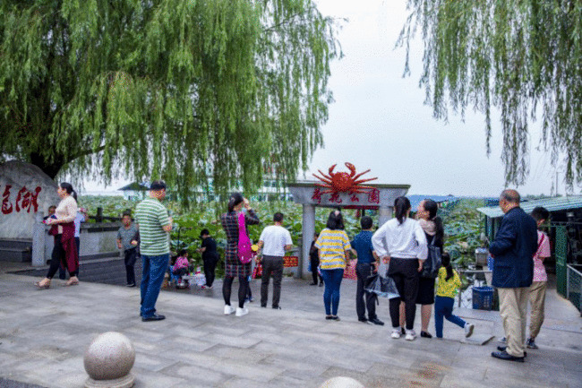 “平”语近人 | 打响品牌农业，湖南特色农业小镇抖擞新活力