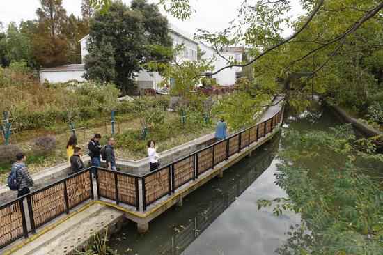 城乡统筹的嘉兴样本：特色财富让村民走向致富路