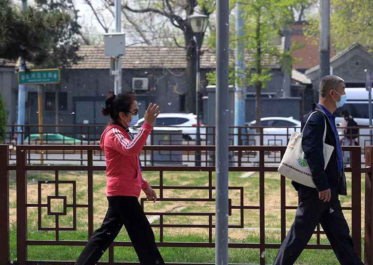 实拍 | 它来了！北京白“雪”飘飘 飞絮期已至