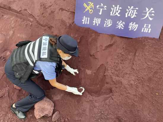 宁波海关:前三季度共查走私案近千起 案值超47亿元