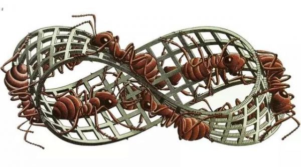  纯粹数学的雪崩效应：庞加莱意料何故造福了精准医疗？