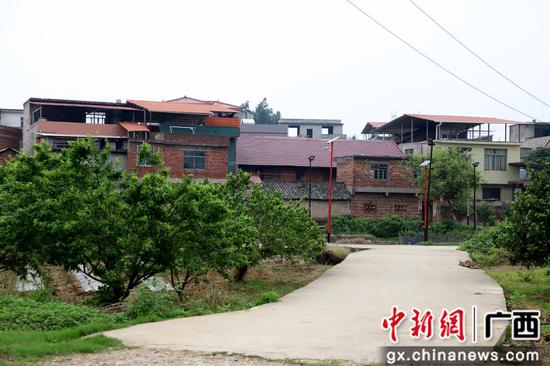 广西融水村子财富兴旺助力村子振兴