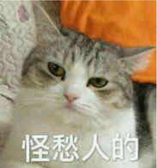 《诗意中国》热播 不只有外卖，北宋竟然尚有物流中心？！