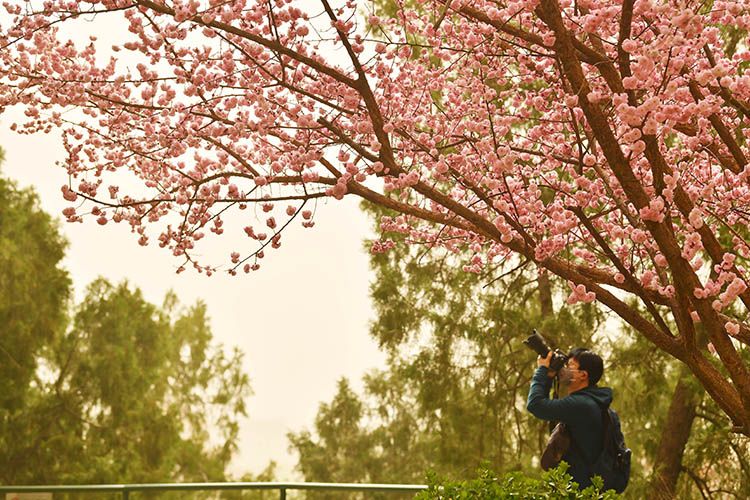 实拍 | 北京再次沙尘来袭，黄沙覆盖中的故宫、鸟巢