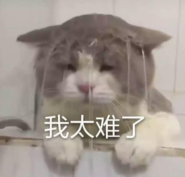 《诗意中国》热播 有一个弟控兄长是奈何的体验？