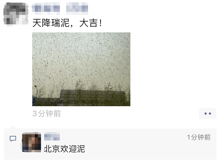 北京“泥雨”事后 伴侣圈不淡定了：“天降瑞泥，大吉！”