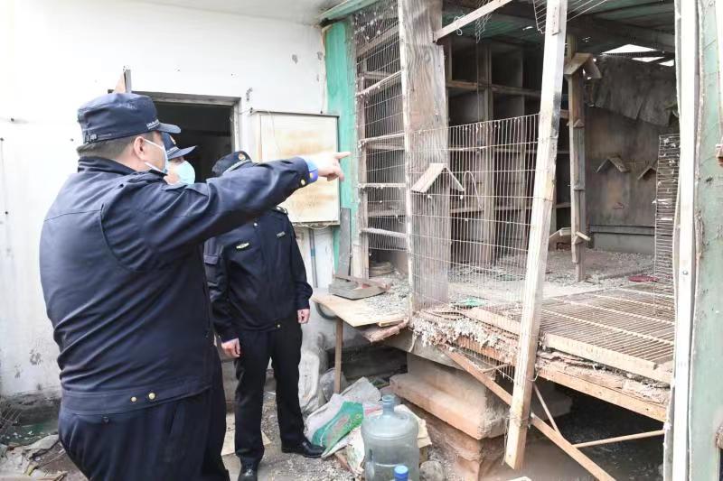 12345热线后楼顶鸽子窝拆除啦！住民鼓掌喝采