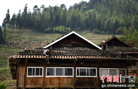 广西桂林龙胜县晋升村子风采 优化人居情况