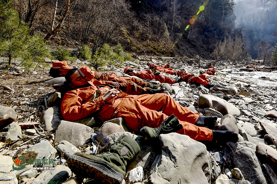 嘘……别说话！让这些森林卫士再多睡会儿