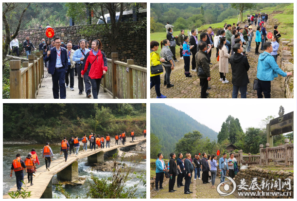 百家媒体聚司城，精准扶贫有成就！