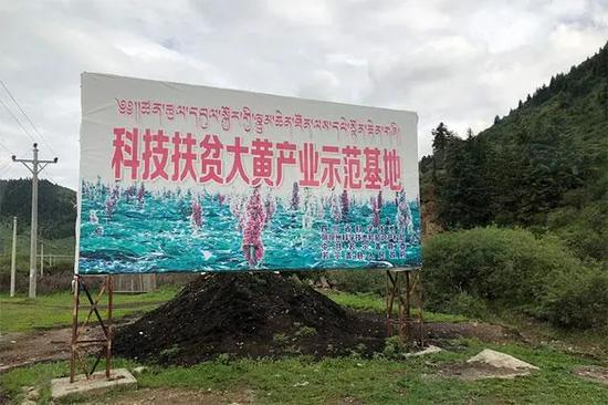 浙江秀洲2000多公里扶贫路：草原留下协作致充足迹