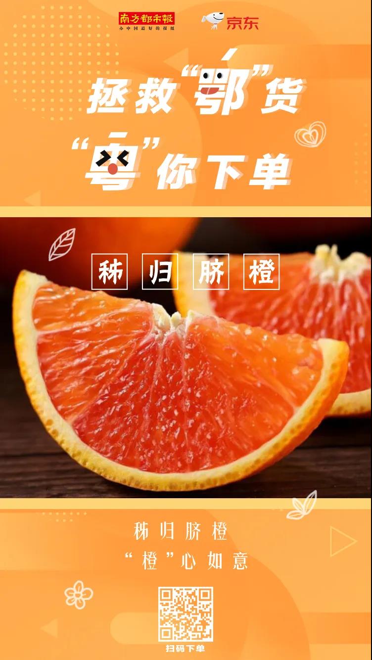 湖北小龙虾滞销？！我大广东吃货不答允！