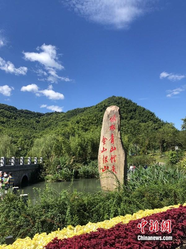 既守护绿水青山又缔造金山银山？浙江交出一份答卷