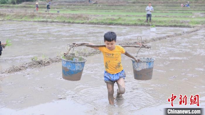 广西上思：深山瑶寨闹春耕 播下新但愿