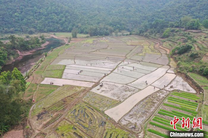 广西上思：深山瑶寨闹春耕 播下新但愿