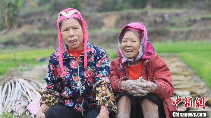 广西上思：深山瑶寨闹春耕 播下新但愿