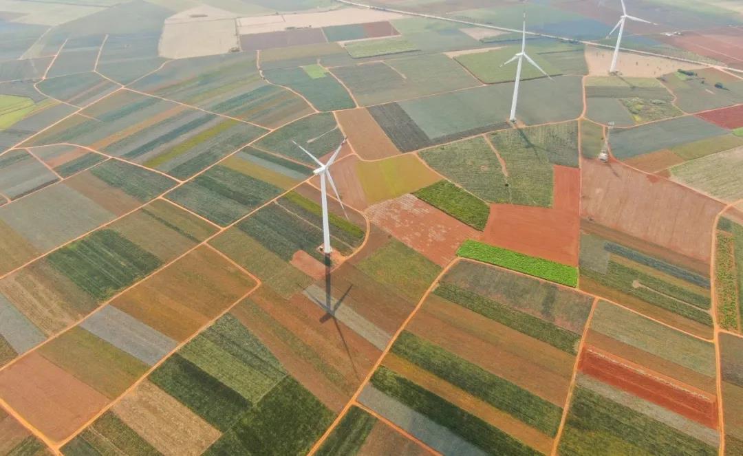 菠萝菠萝菠萝菠萝菠萝菠萝的海！