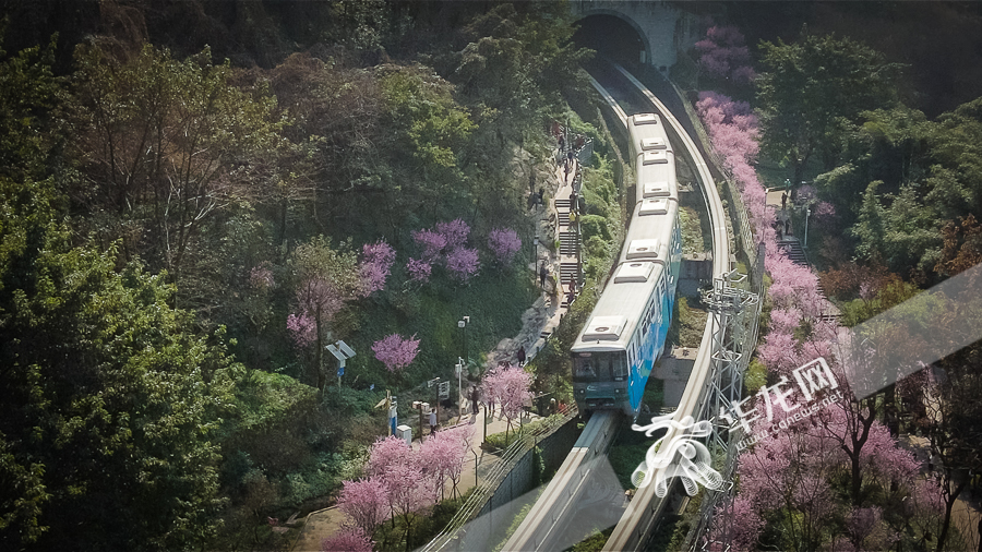 掩护引发市场主体活力 重庆出台《促收支产策划不变成长若干法子》