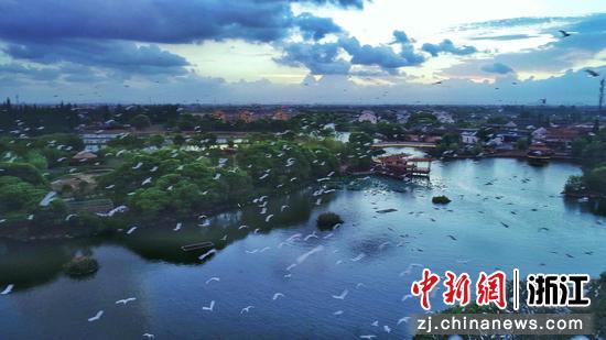 浙江德清：争创配合富饶县域样板研讨会在杭州进行