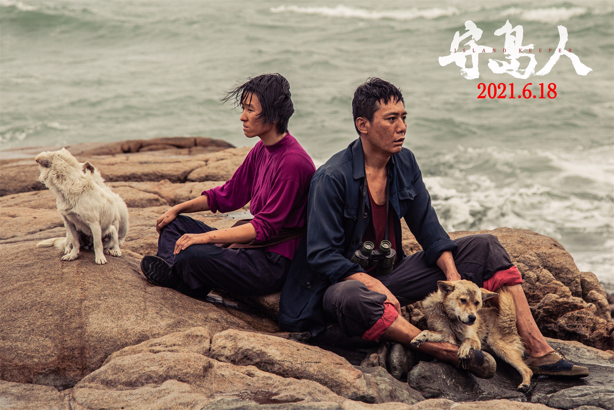 “看影戏 学党史”赤色主题影戏激发安徽高校学子共识