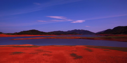 倒计时2天！衡南县将举行湖南省首场“瑰丽村子”半程马拉松赛_湖北在线