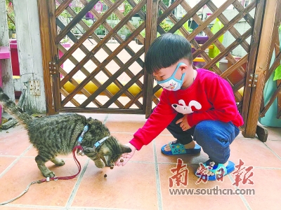 广州市中小学家校联动组织多样生命教诲课程