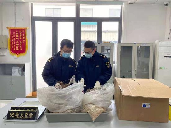 外来物种邮寄进境渐增 宁波港口启动非贸渠道冲击动作
