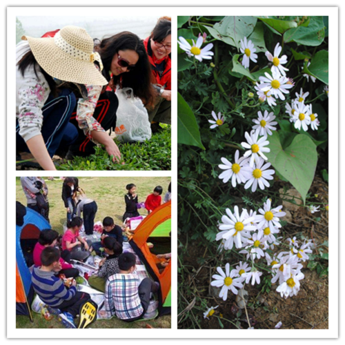 小马哥说了“全家出游都来这里玩”！_湖北在线