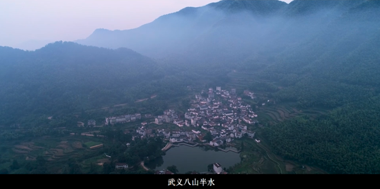 叮！一份来自武义县长的茶乡邀约，请查收